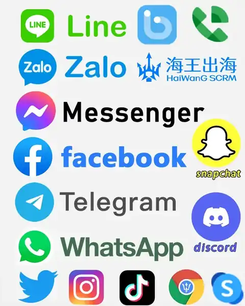 海王出海翻译器 · 快捷短语 - 高频外贸回复库 产品界面